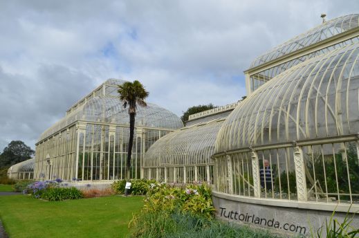 Serra vetro Botanic Garden